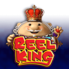 Text Section Icon for Reel King Series