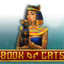Text Section Icon for Book Of Cats Megaways