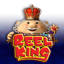 Text Section Icon for Reel King Series