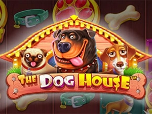 Slot Card Image for Dog House