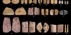 Press Release Card Image for Τυχερά παιχνίδια στην Εποχή των Παγετώνων: Ιθαγενείς Αμερικανοί εφηύραν τα ζάρια πριν από 12.000 χρόνια