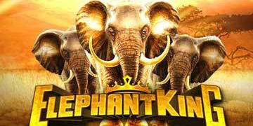 Slot Brand Image for Elephant King