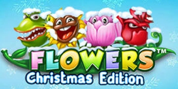 Slot Brand Image for Flowers Christmas Edition