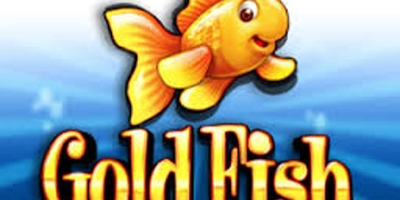 Slot Brand Image for Goldfish