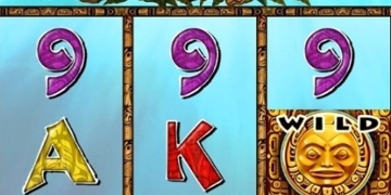 Slot Brand Image for Orca