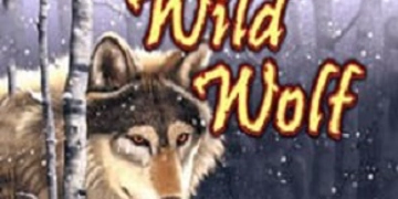 Slot Brand Image for Wolf Run