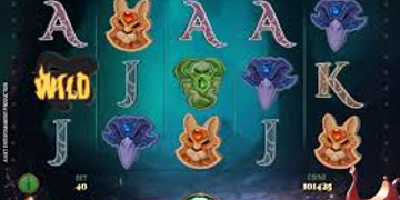 Slot Brand Image for The Wish Master