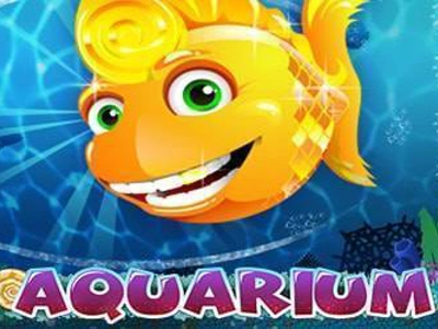 Slot Brand Image for Aquarium