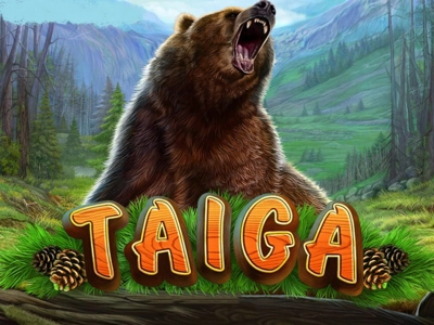 Slot Brand Image for Taiga