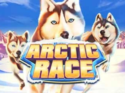 Slot Brand Image for Arctic Race