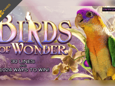 Slot Brand Image for Birds of Wonder