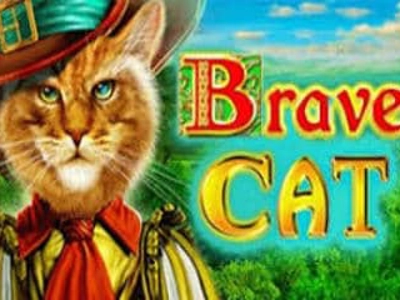Slot Brand Image for Brave Cat