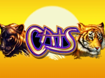 Slot Brand Image for Cats