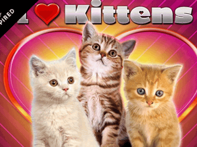 Slot Brand Image for I Love Kittens