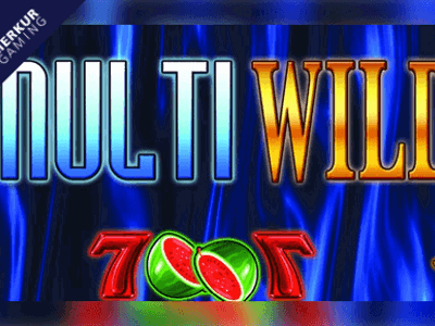 Slot Brand Image for Multi Wild